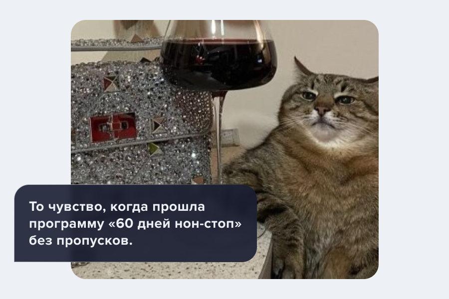 кот
