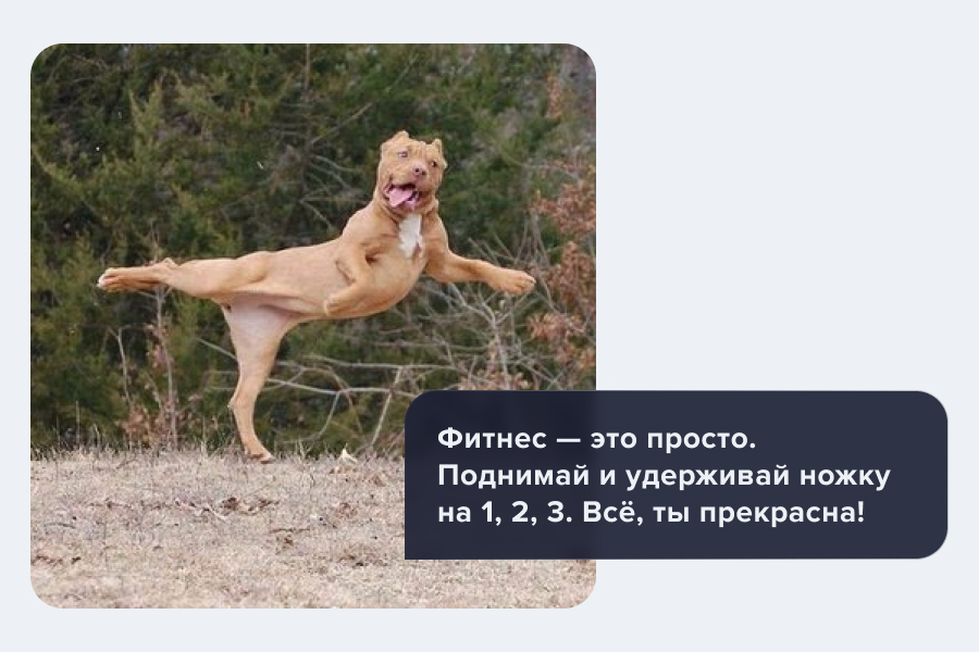 собака
