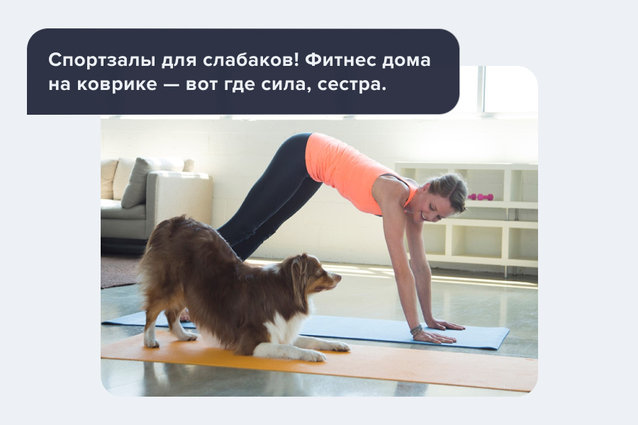 собака