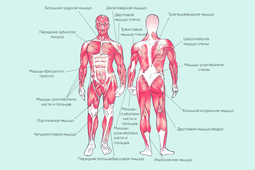 рисунок
